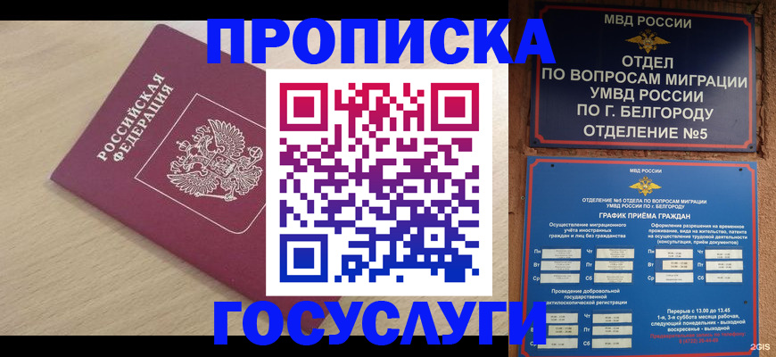 прописка законно в Волгодонске